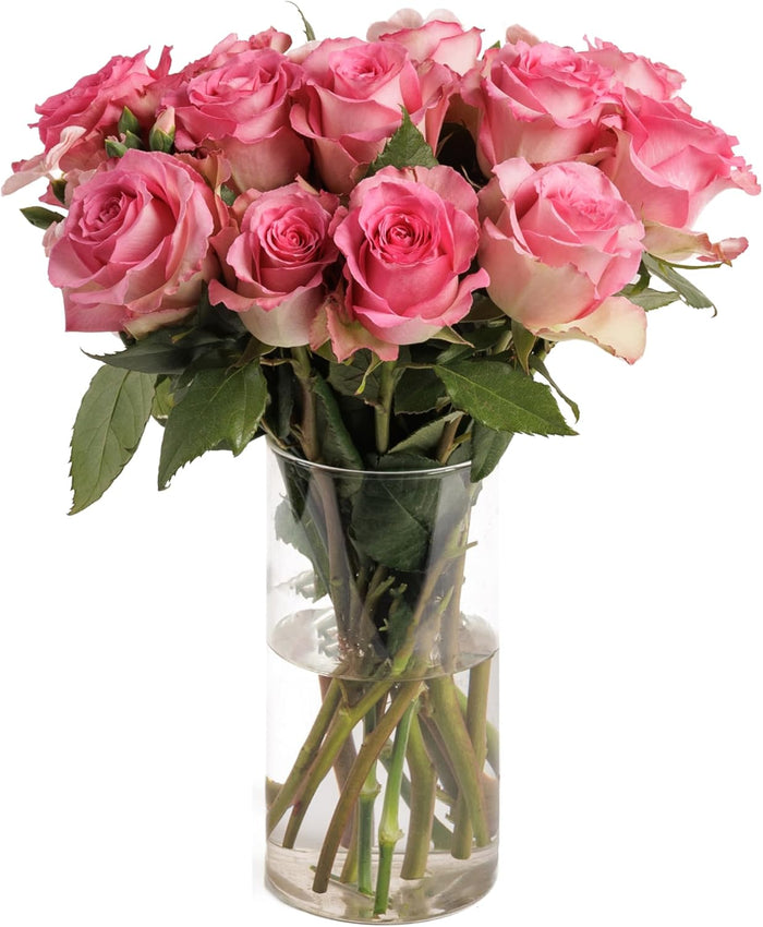 Pink Classic bouquet of pink roses in a glass vase